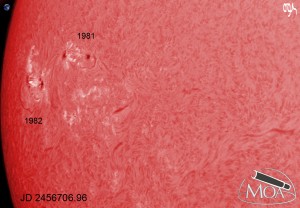 2014-02-19-sun-coronado-s20001-stack100-opis
