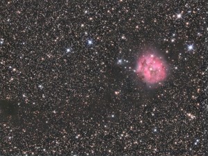 Mgławica Kokon - IC 5146, teleskop Newtona 200/1000, montaż NEQ6, kamera Atik 383L+, filtry R,G,B - 14x300 sekund, Luminancja – 14x600 sekund, obs. Mateusz 